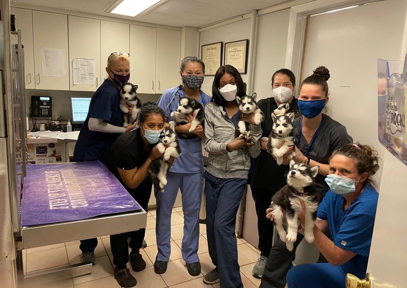 Veterinarians in South Orange South Orange NJ Veterinarians